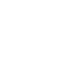a19